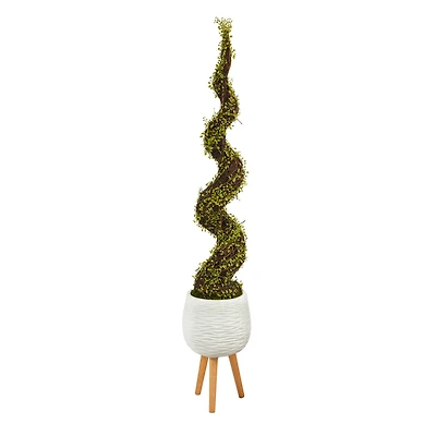 5ft. UV Resistant Mohlenbechia Spiral Tree in White Planter with Stand