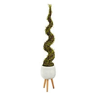 5ft. UV Resistant Mohlenbechia Spiral Tree in White Planter with Stand