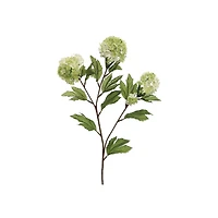 Light Green Snowball Spray