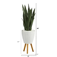 4ft. Snake Plant in White Planter with Stand