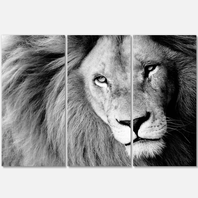 Designart - Lion Head in Grey