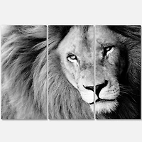 Designart - Lion Head in Grey