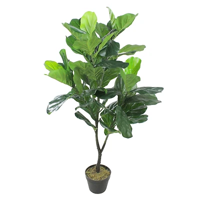 4 ft. Two-Tone Potted Wide Fiddle Leaf Floor Plant