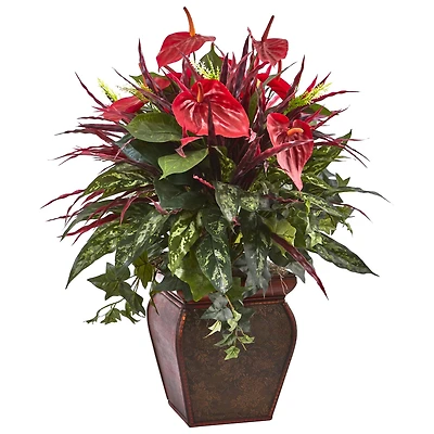 2.5ft. Mixed Laceleaf Plant in Decorative Planter