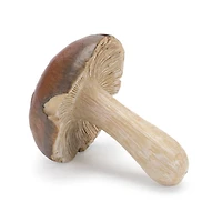 3" Brown Stone Mushroom Shelf Sitter, 12ct.
