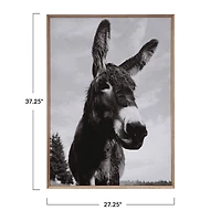 Hello Honey® Wood & Canvas Donkey Wall Plaque