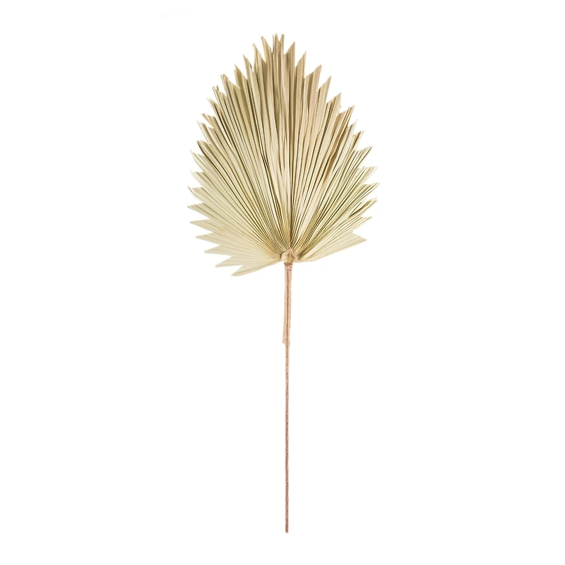 42" Natural Fan Palm Leaf Set