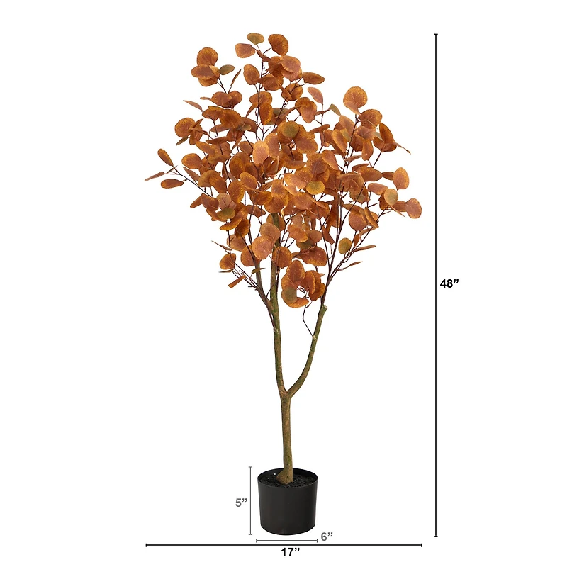 4ft. Potted Autumn Eucalyptus Tree