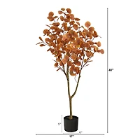 4ft. Potted Autumn Eucalyptus Tree