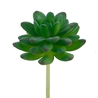 Flora Bunda® Stonecrop Succulent Pick, 12ct.
