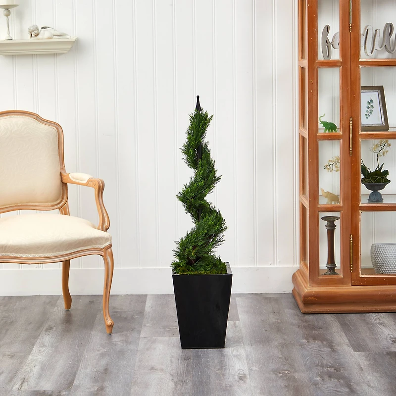3.6ft. Spiral Cypress Topiary in Black Metal Planter