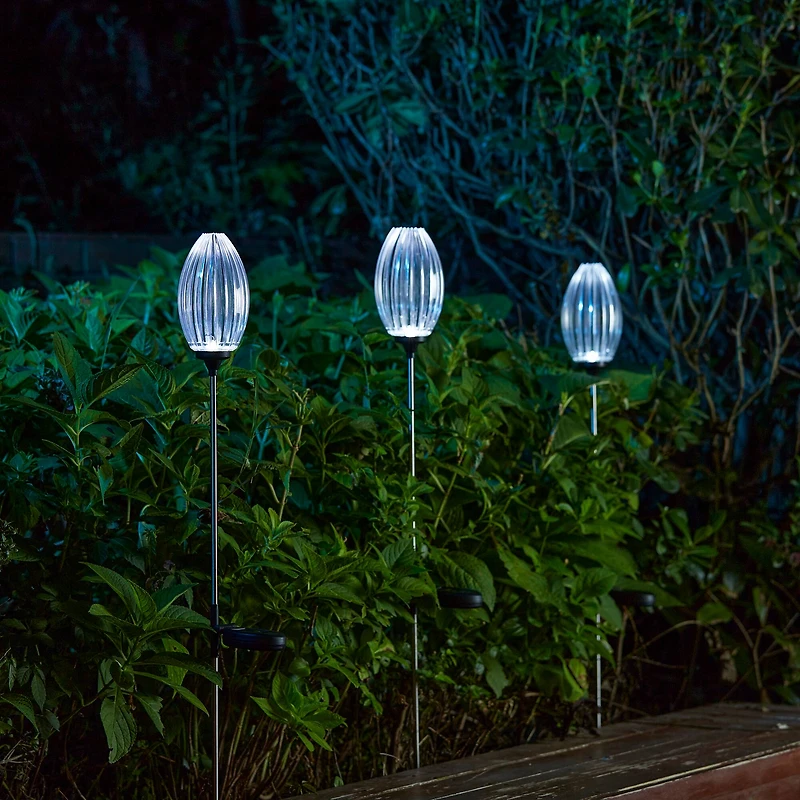 Glitzhome® 36" Solar Powered Oval Flower Stake Light with Stainless Steel Poles, 3ct.