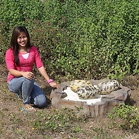 Design Toscano 12" Early Jurassic Theropoda Dino Egg Fossil Statue