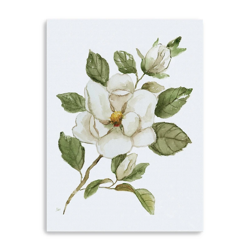 Magnolia Morning I Canvas Giclee