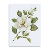 Magnolia Morning I Canvas Giclee