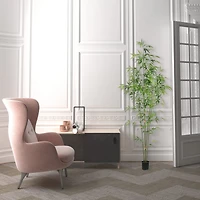 6ft. Potted Mini Bamboo Tree