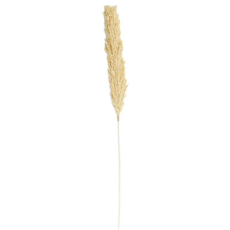 Brown Dried Wheat Grass Stem