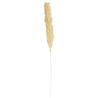 Brown Dried Wheat Grass Stem