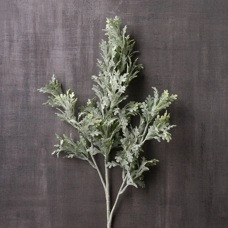 16 Pack: Dusty Miller Stem by Ashland®