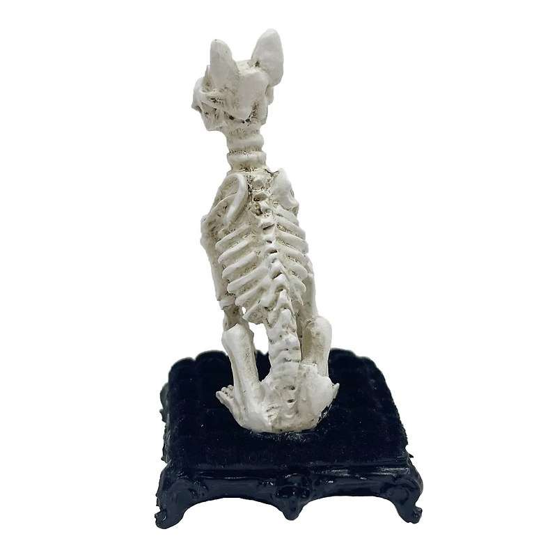Mini Skeleton Dog by Ashland®