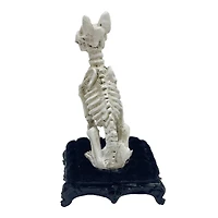 Mini Skeleton Dog by Ashland®