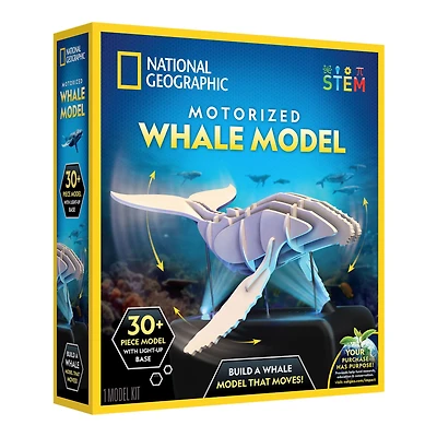 National Geographic™ Motorized Whale Model