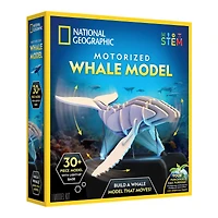 National Geographic™ Motorized Whale Model