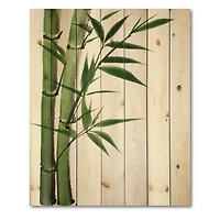 Designart - Detail of Dark Green Bamboo I