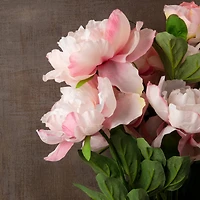 Pink Peony Bush by Ashland®