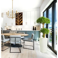 4ft. Green Bonsai Styled Plum Pine Tree in Tower Planter