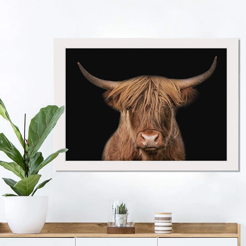 Moody Highland Cow 11" x 14" White Framed Print Under Plexiglass