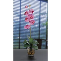 2.3ft. Dark Pink Orchid Arrangement with Vase