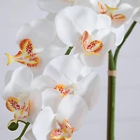 2ft. Artificial Double Orchid Arrangement in Handmade Mexican Talavera Ceramic Planter