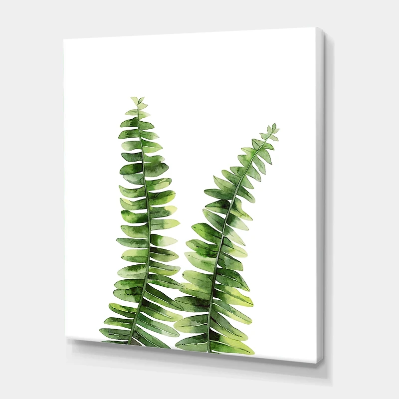 Designart - Fern Plant In Greenbotanical Detail