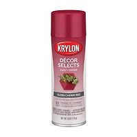 Krylon® Décor Selects Gloss Paint & Primer