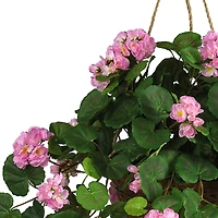 24" Pink Geranium in Hanging Basket