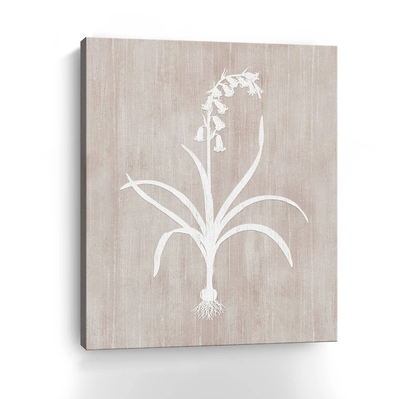 Botany Beauty I Canvas Giclee