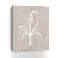 Botany Beauty I Canvas Giclee