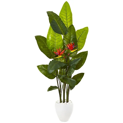 5.8ft. Bird of Paradise Plant in White Planter