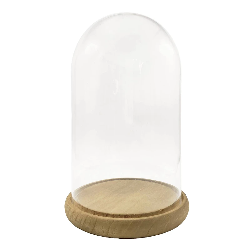 9.5" Glass Cloche with Wood Base by Ashland®