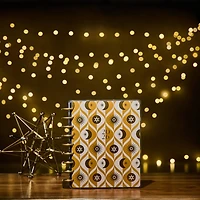 The Classic Happy Planner® Star Signs