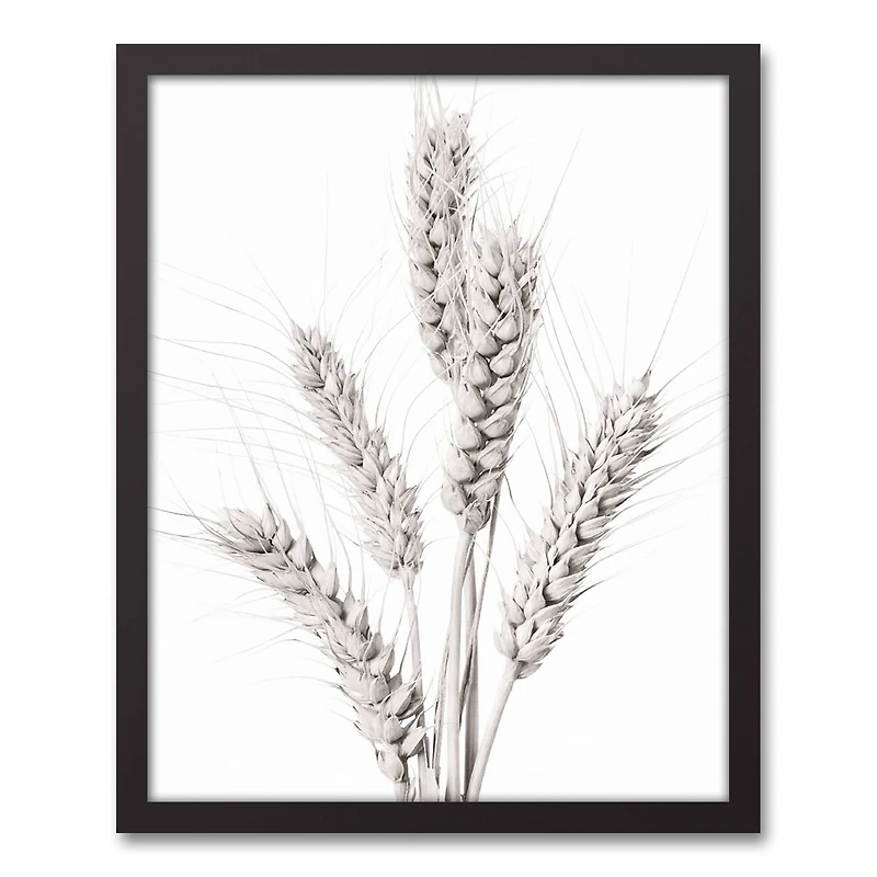 Wheat Photography 16" x 20" Black Framed Canvas