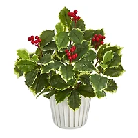 13" Variegated Holly Plant in White Planter