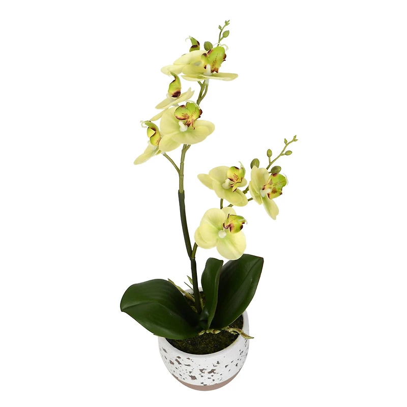 White Artificial Mini Moth Orchid in Planter Set