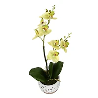 White Artificial Mini Moth Orchid in Planter Set