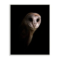 Stupell Industries Intense Barn Owl Black Shadow Photography Wall Plaque Art