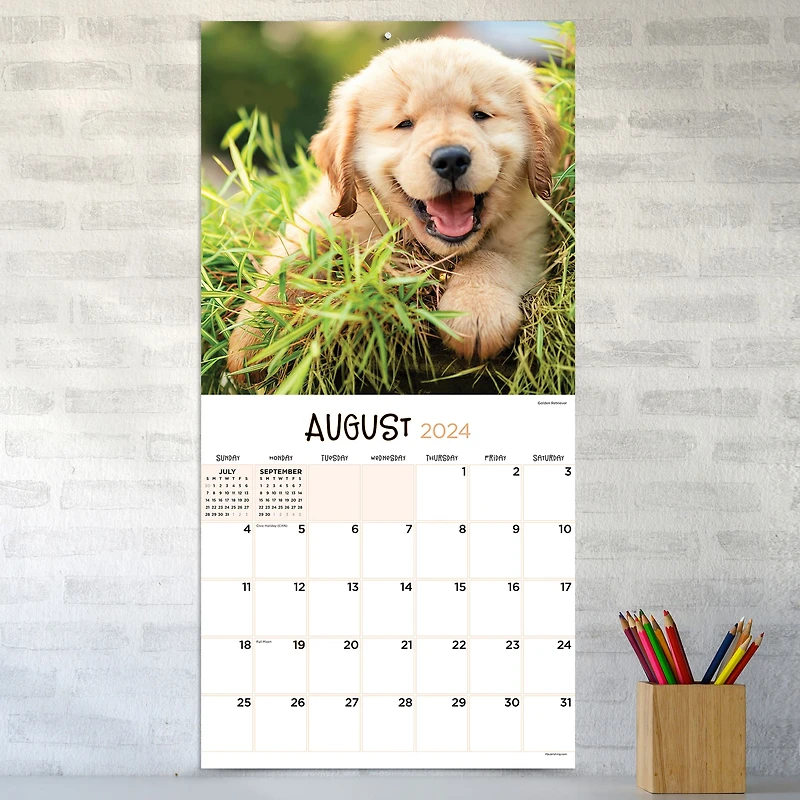 TF Publishing 2024 Puppies Wall Calendar