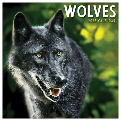 TF Publishing 2025 Wolves Mini Calendar