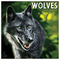 TF Publishing 2025 Wolves Mini Calendar