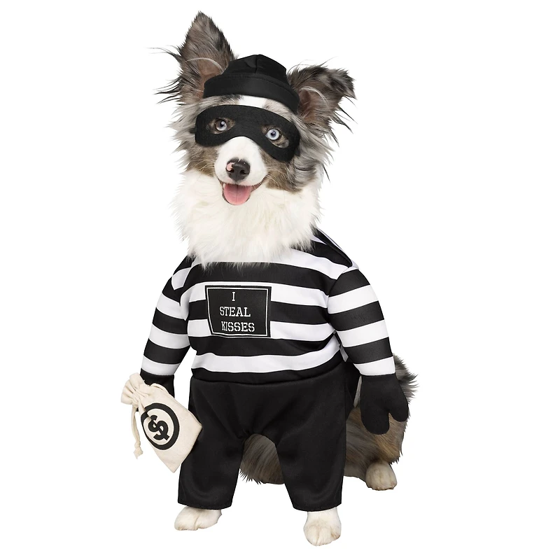 Robber Dog Costume by Ashland®